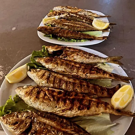 Tarzani & Restaurant Lägenhet